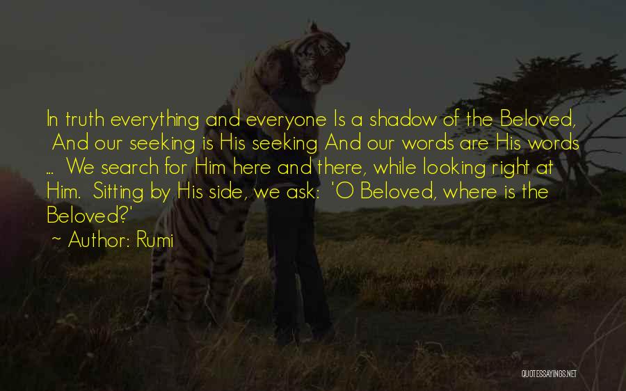 Shadow Of Love Quotes By Rumi