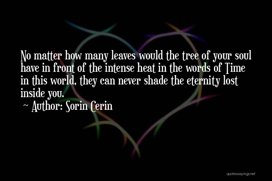 Shadow Of Love Quotes By Sorin Cerin