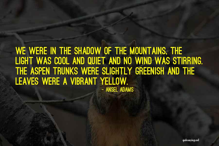 Shadow Of The Wind Quotes By Ansel Adams Shadow Of The Wind Quotes By Ansel Adams
