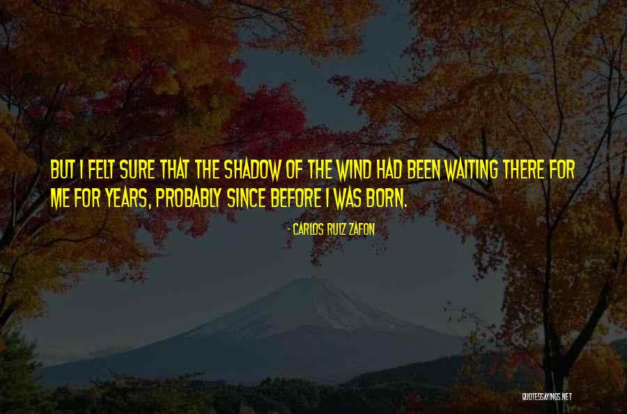 Shadow Of The Wind Quotes By Carlos Ruiz Zafon Shadow Of The Wind Quotes By Carlos Ruiz Zafon