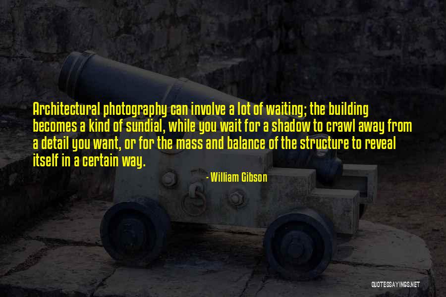 Shadow Photography Quotes By William Gibson