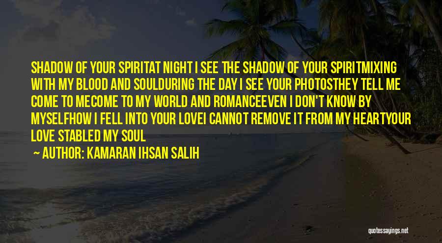 Shadow Poems Quotes By Kamaran Ihsan Salih