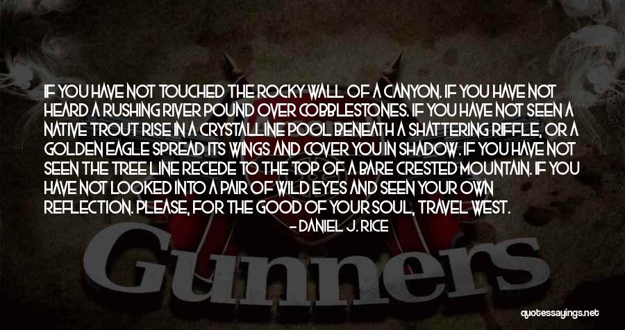 Shadow S Rise Quotes By Daniel J. Rice Shadow S Rise Quotes By Daniel J. Rice