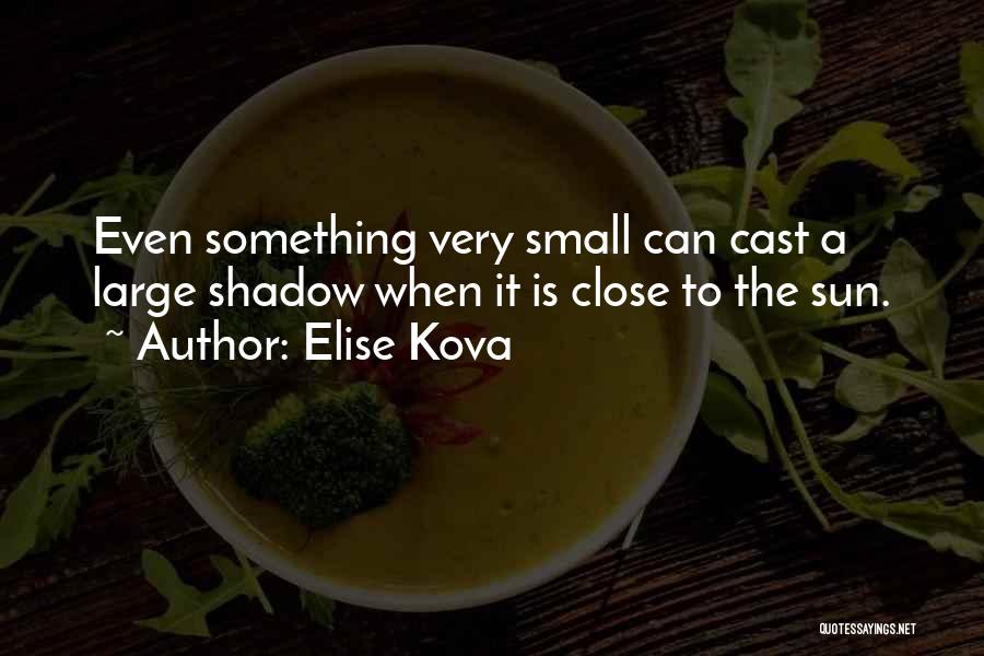 Shadow Sun Quotes By Elise Kova