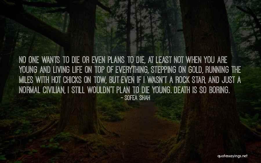 Shadowclan Meeting Quotes By Sofea Shah Shadowclan Meeting Quotes By Sofea Shah