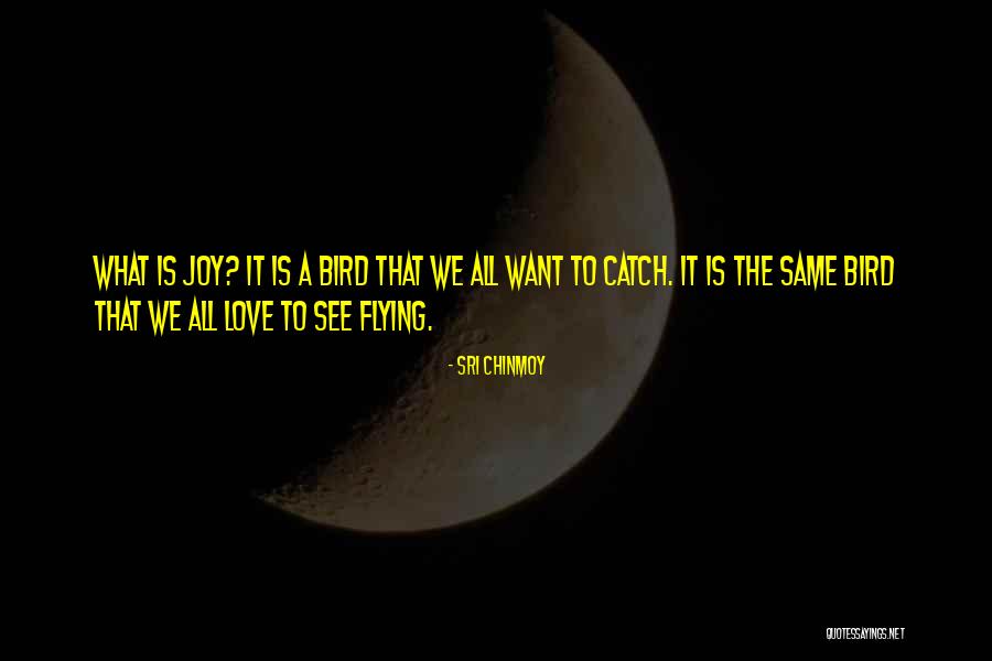 Shadowfever Series Quotes By Sri Chinmoy Shadowfever Series Quotes By Sri Chinmoy