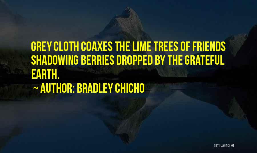 Shadowing Quotes By Bradley Chicho
