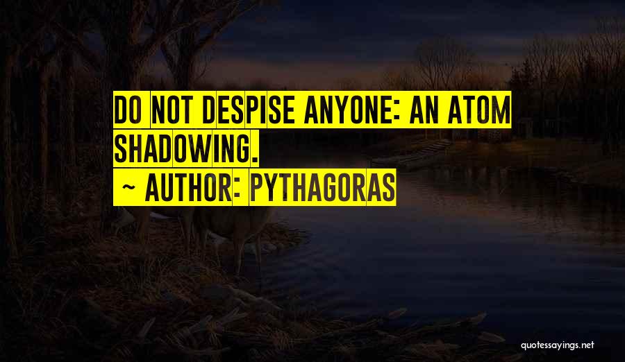 Shadowing Quotes By Pythagoras