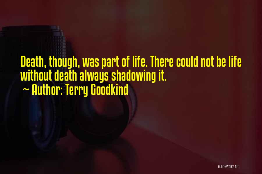 Shadowing Quotes By Terry Goodkind