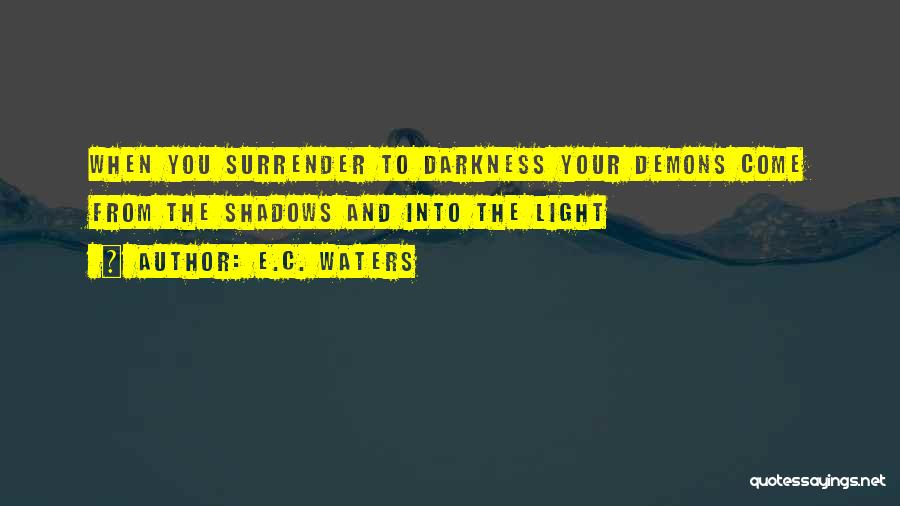 Shadows And Darkness Quotes By E.C. Waters