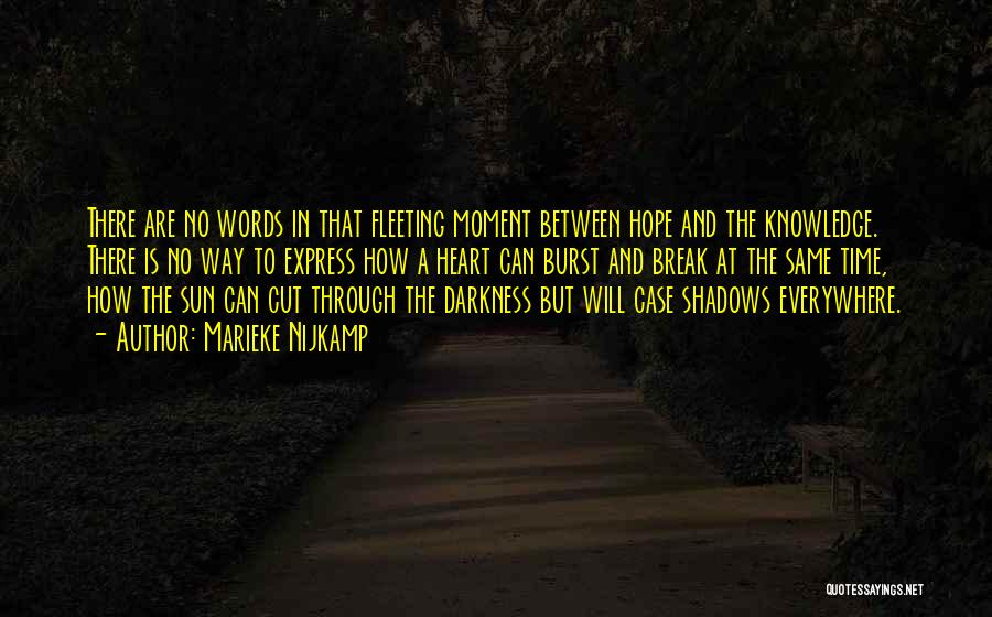 Shadows And Darkness Quotes By Marieke Nijkamp