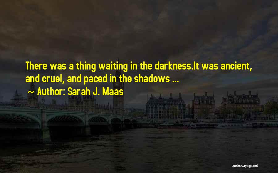 Shadows And Darkness Quotes By Sarah J. Maas