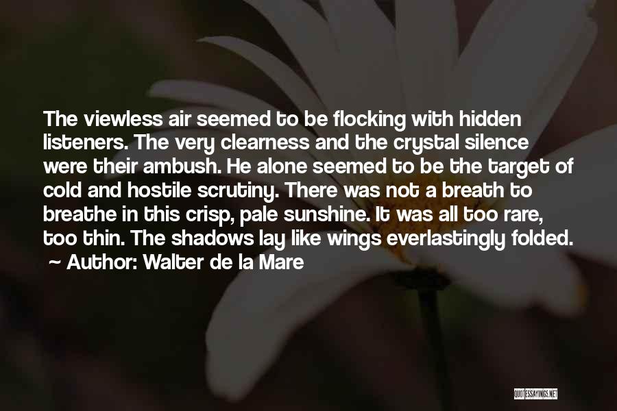 Shadows And Sunshine Quotes By Walter De La Mare