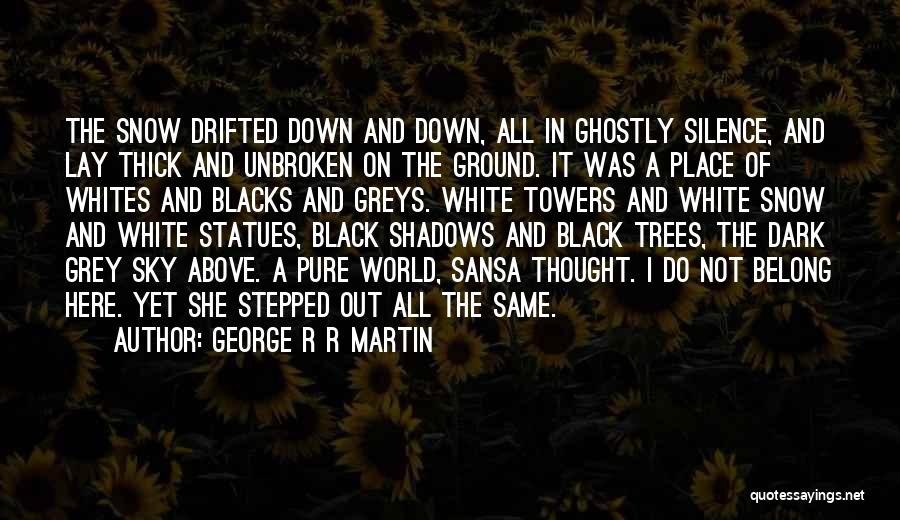 Shadows In The Silence Quotes By George R R Martin