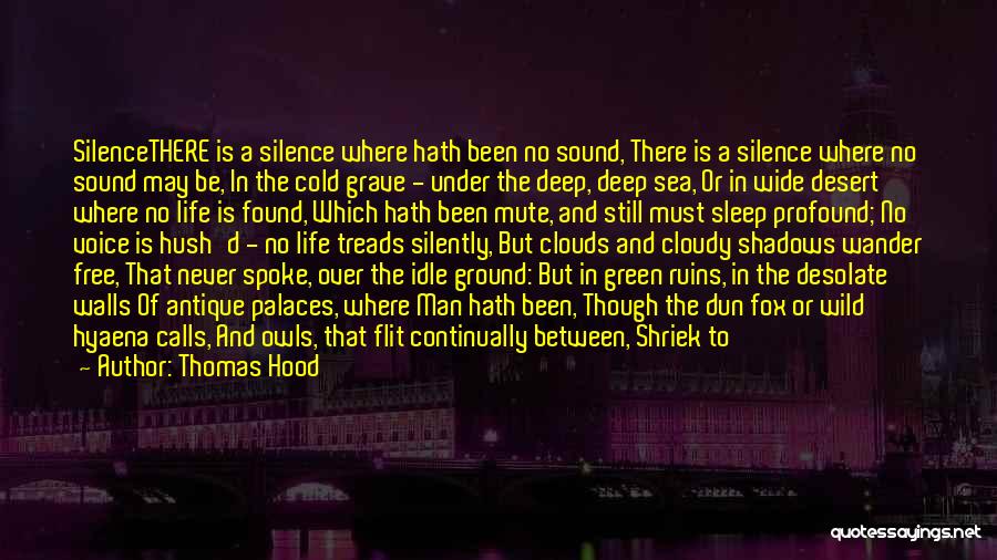 Shadows In The Silence Quotes By Thomas Hood