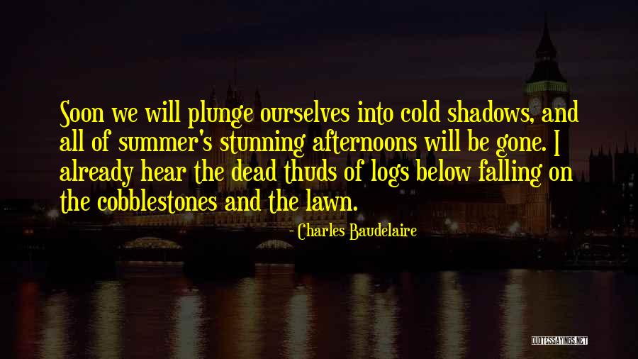 Shadows Of The Dead Quotes By Charles Baudelaire Shadows Of The Dead Quotes By Charles Baudelaire