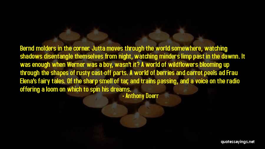 Shadows Of The Past Quotes By Anthony Doerr