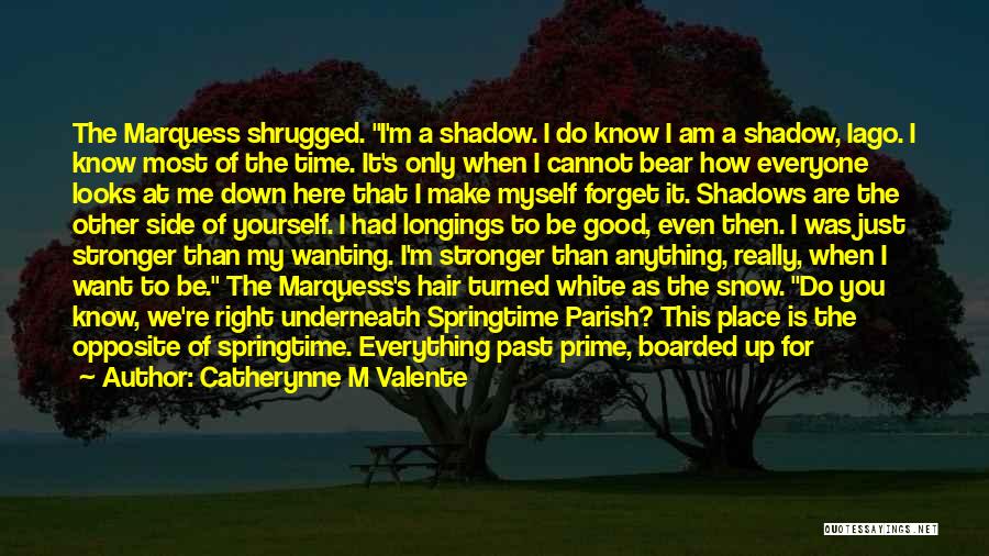 Shadows Of The Past Quotes By Catherynne M Valente