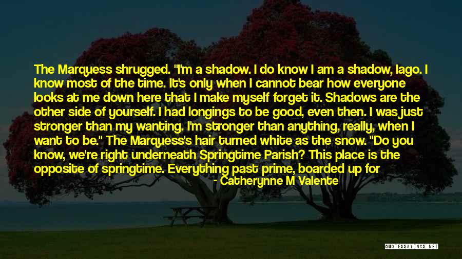 Shadows Of The Past Quotes By Catherynne M Valente