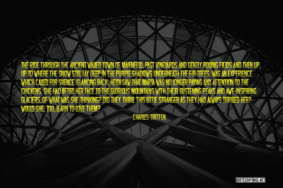 Shadows Of The Past Quotes By Charles Tritten