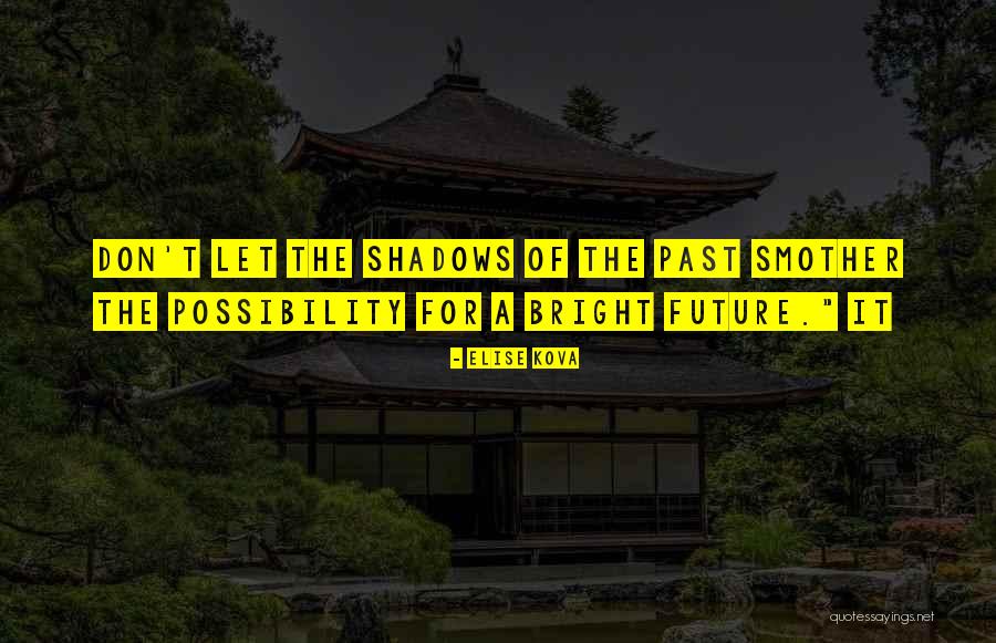 Shadows Of The Past Quotes By Elise Kova