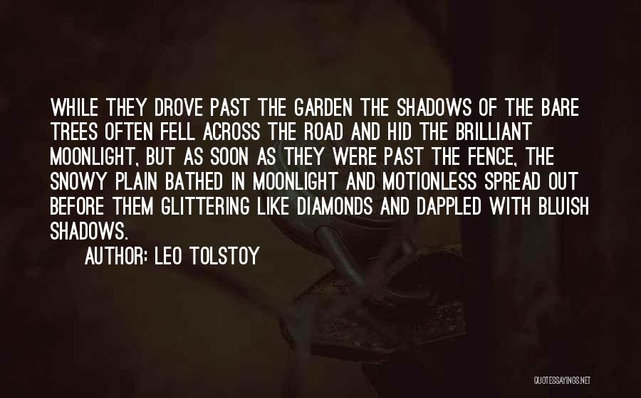 Shadows Of The Past Quotes By Leo Tolstoy