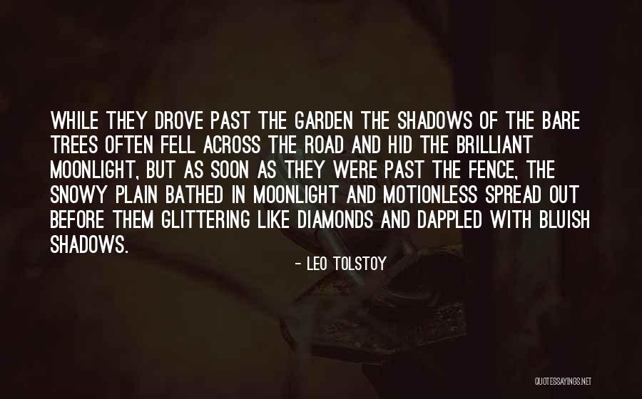 Shadows Of The Past Quotes By Leo Tolstoy