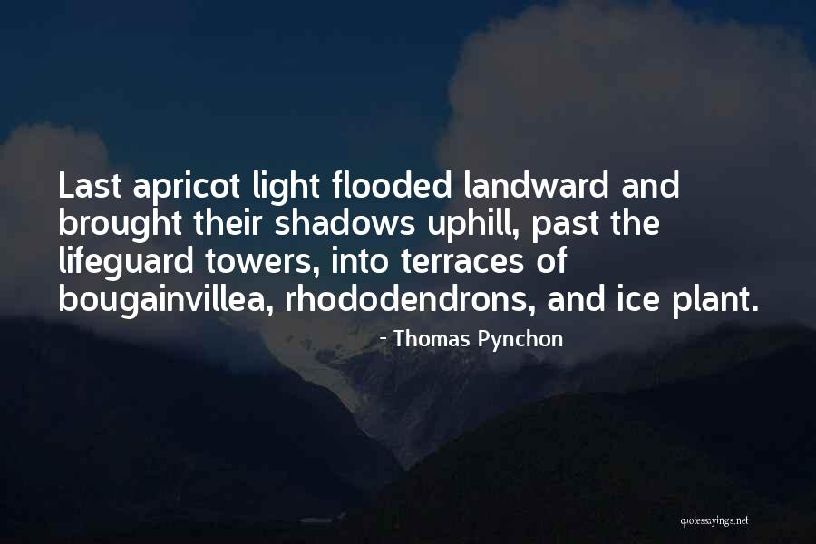 Shadows Of The Past Quotes By Thomas Pynchon