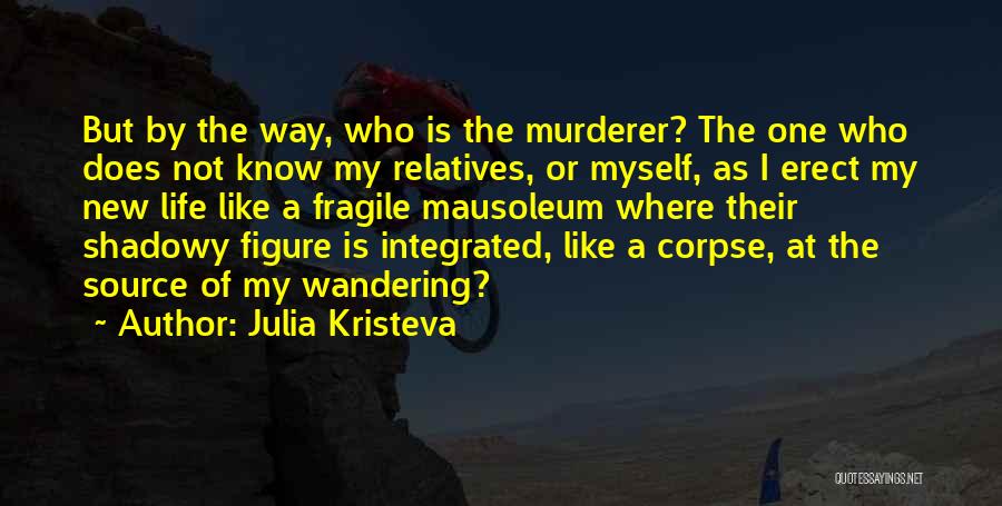 Shadowy Figure Quotes By Julia Kristeva