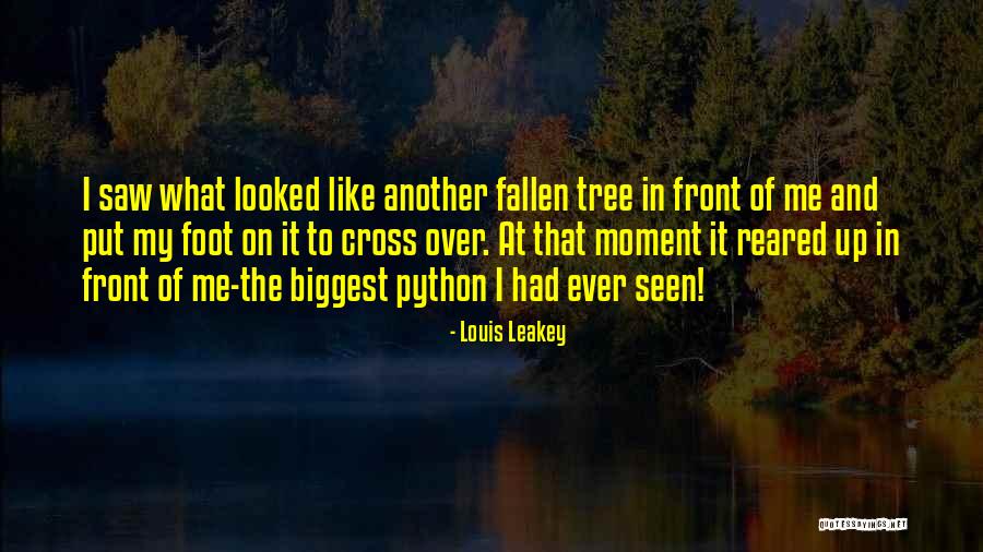 Shady Liars Quotes By Louis Leakey Shady Liars Quotes By Louis Leakey