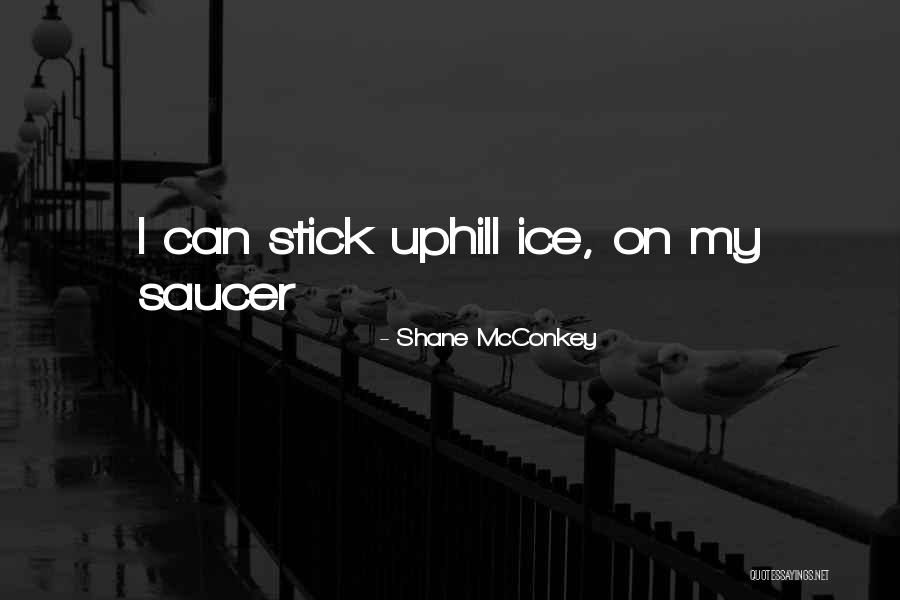 Shadye Peyvan Quotes By Shane McConkey