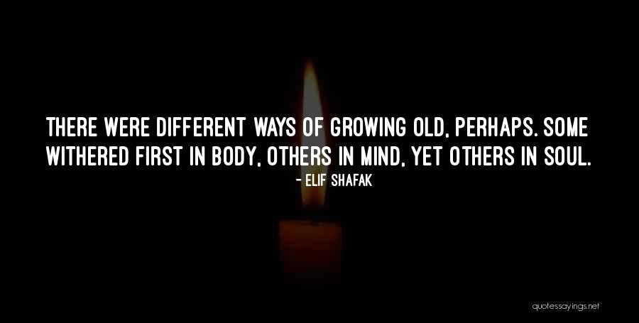 Shafak Elif Quotes By Elif Shafak Shafak Elif Quotes By Elif Shafak