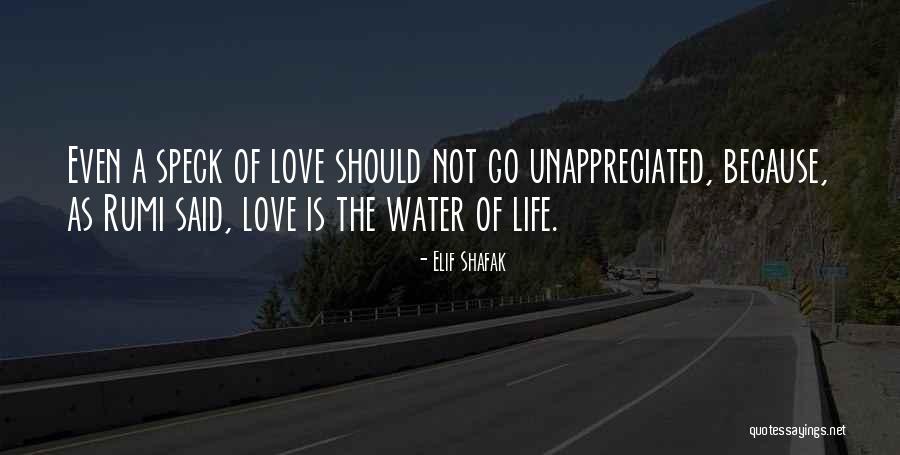 Shafak Elif Quotes By Elif Shafak Shafak Elif Quotes By Elif Shafak
