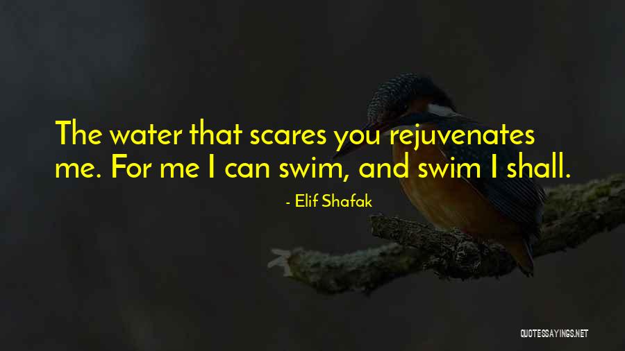 Shafak Elif Quotes By Elif Shafak Shafak Elif Quotes By Elif Shafak