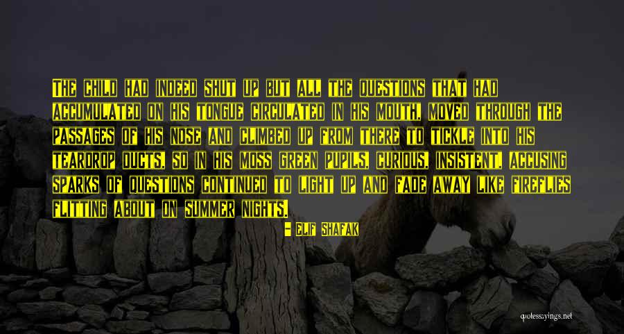 Shafak Elif Quotes By Elif Shafak Shafak Elif Quotes By Elif Shafak