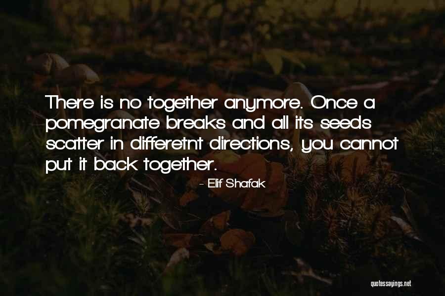 Shafak Elif Quotes By Elif Shafak Shafak Elif Quotes By Elif Shafak