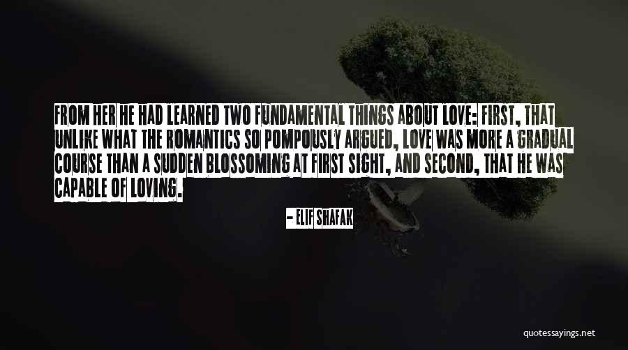 Shafak Quotes By Elif Shafak Shafak Quotes By Elif Shafak