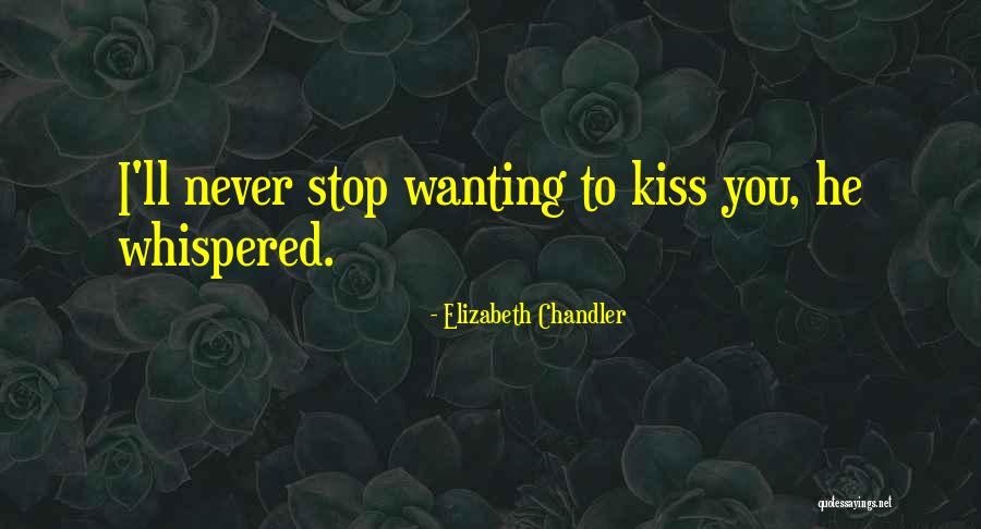 Shafin Ahmed Quotes By Elizabeth Chandler Shafin Ahmed Quotes By Elizabeth Chandler