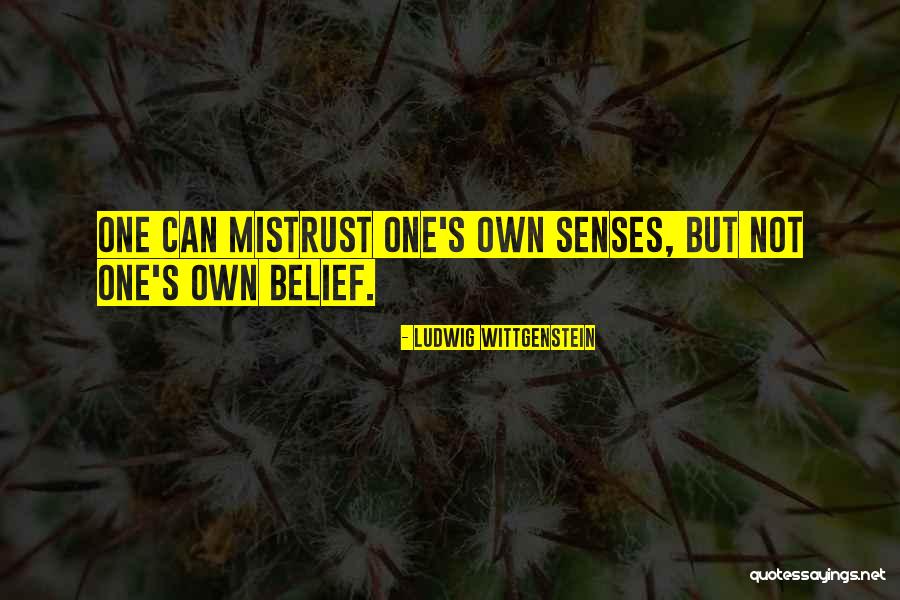 Shafiqullah Ismail Quotes By Ludwig Wittgenstein Shafiqullah Ismail Quotes By Ludwig Wittgenstein