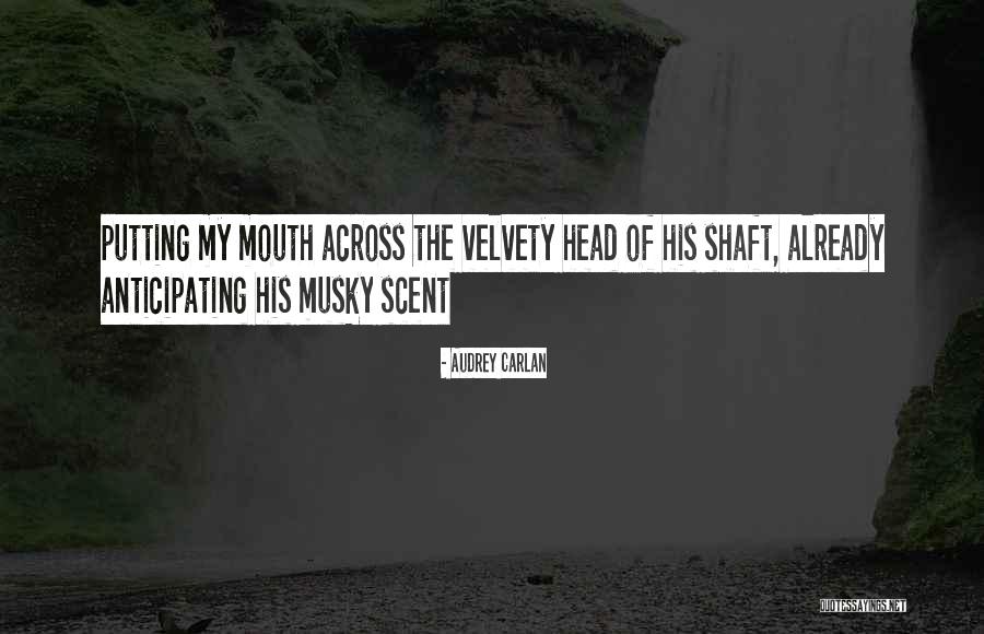 Shaft Quotes By Audrey Carlan Shaft Quotes By Audrey Carlan