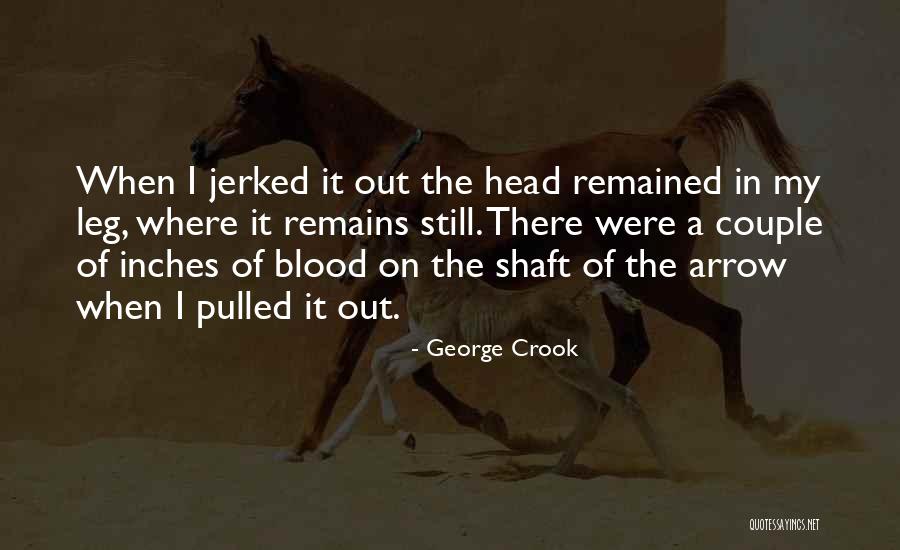 Shaft Quotes By George Crook Shaft Quotes By George Crook