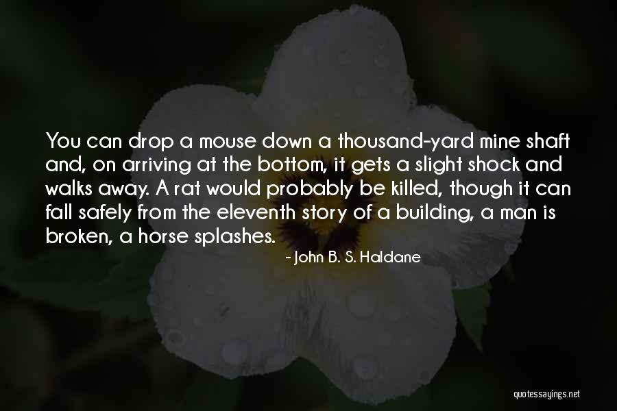 Shaft Quotes By John B. S. Haldane Shaft Quotes By John B. S. Haldane