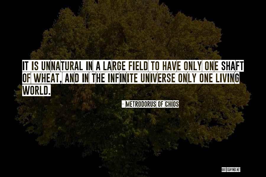 Shaft Quotes By Metrodorus Of Chios Shaft Quotes By Metrodorus Of Chios