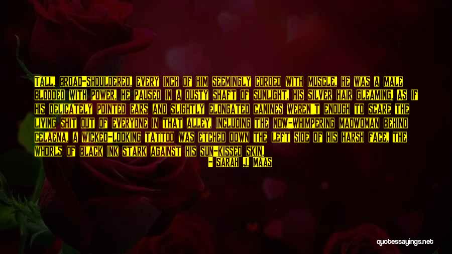 Shaft Quotes By Sarah J. Maas Shaft Quotes By Sarah J. Maas