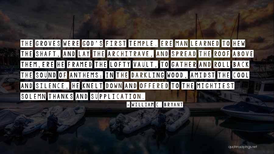 Shaft Quotes By William C. Bryant Shaft Quotes By William C. Bryant