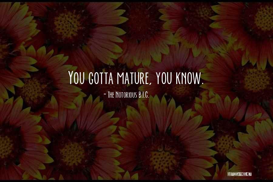 Shafted Quotes By The Notorious B.I.G. Shafted Quotes By The Notorious B.I.G.