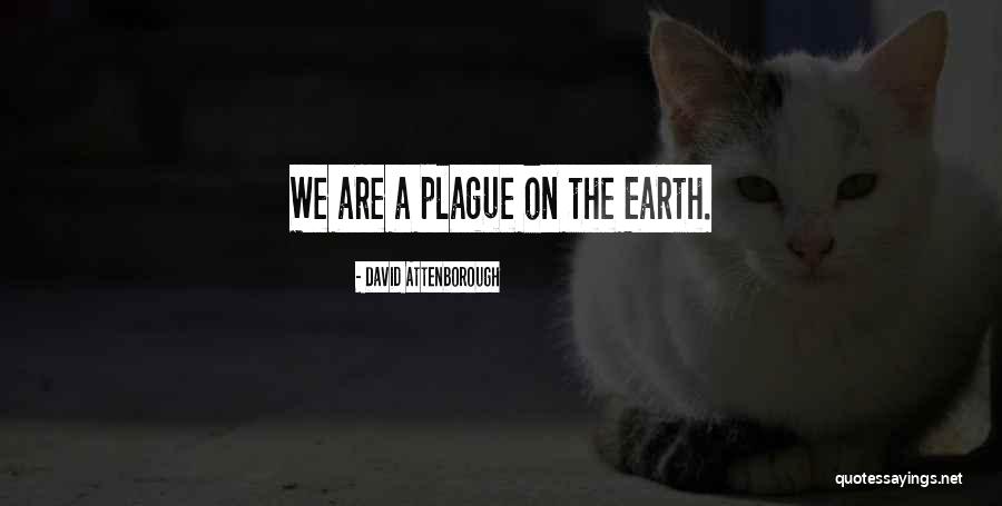 Shaggers Hall Quotes By David Attenborough Shaggers Hall Quotes By David Attenborough