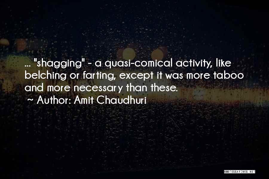 Shagging Quotes By Amit Chaudhuri