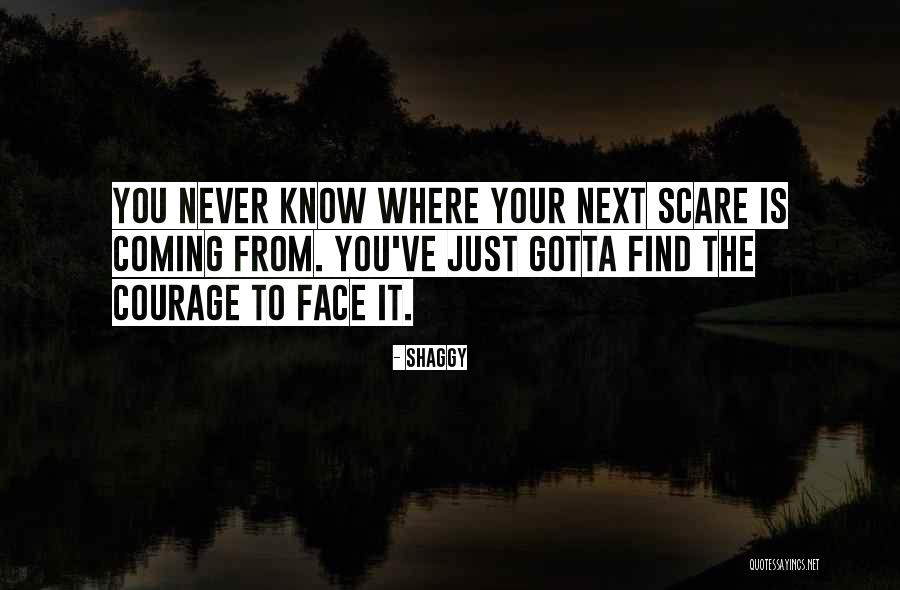 Shaggy Quotes 1146519 Shaggy Quotes 1146519