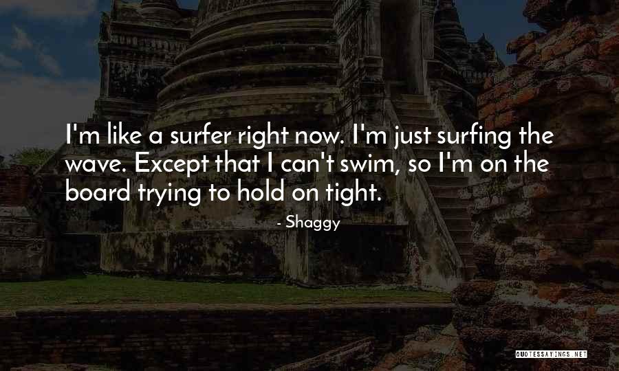 Shaggy Quotes 1342619 Shaggy Quotes 1342619